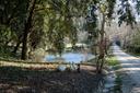 Meraviglioso appartamento sulle colline Fiorentine, in vendita, Firenze | Sotheby’s Realty Italy - 16