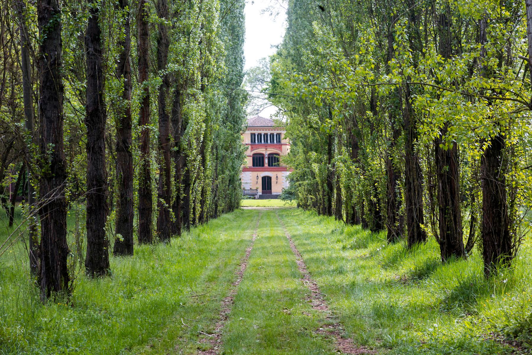 Magnifica proprietà storica nel verde delle colline del Monferrato - 21