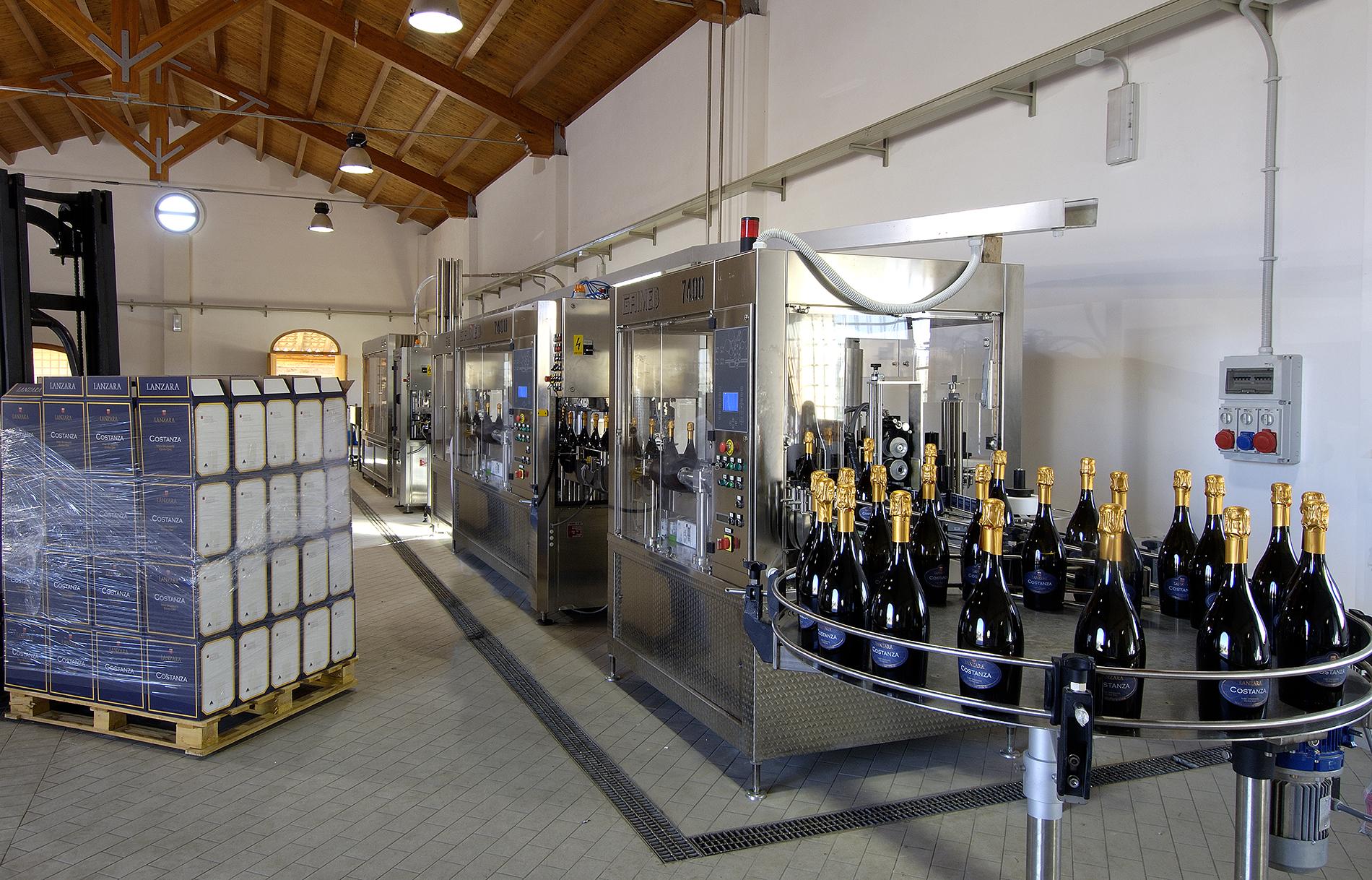 Magnifica azienda vinicola Siciliana - 6