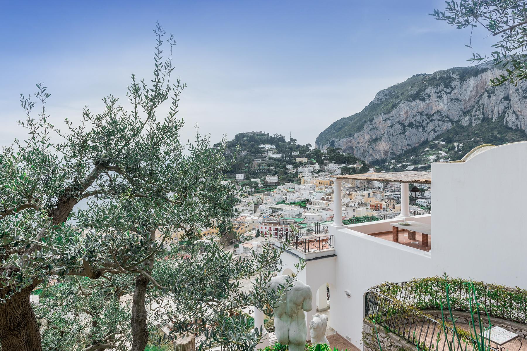 Magnificent Villa on Capri's Panoramic Road - 21