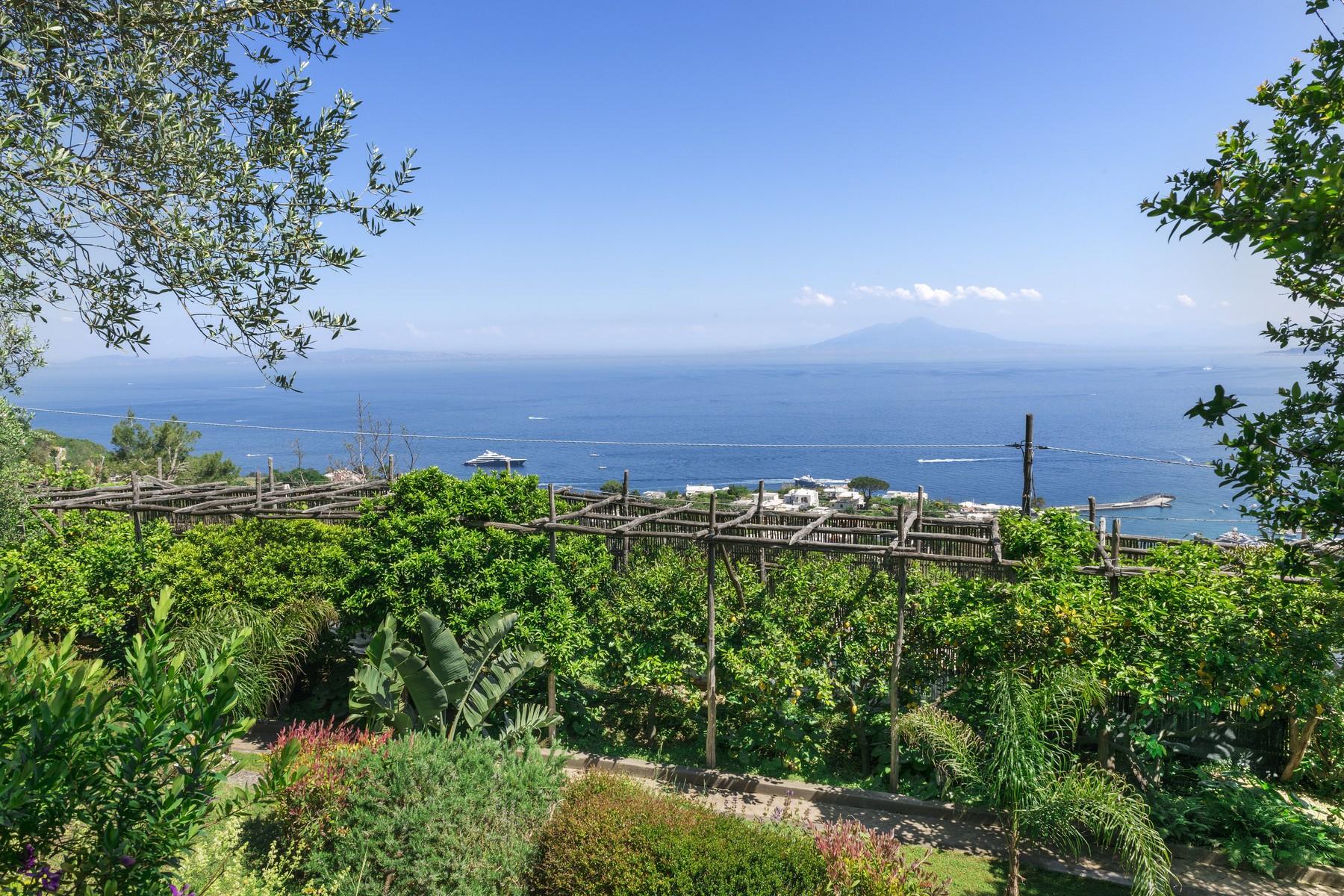 Великолепная вилла с видом на море и самый красивый сад на острове - 7