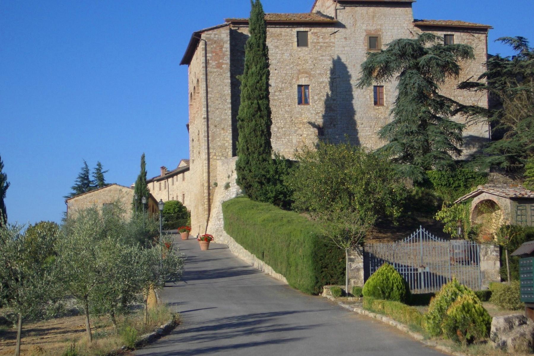 Historic castle with vineyard in 'Chianti' - 2