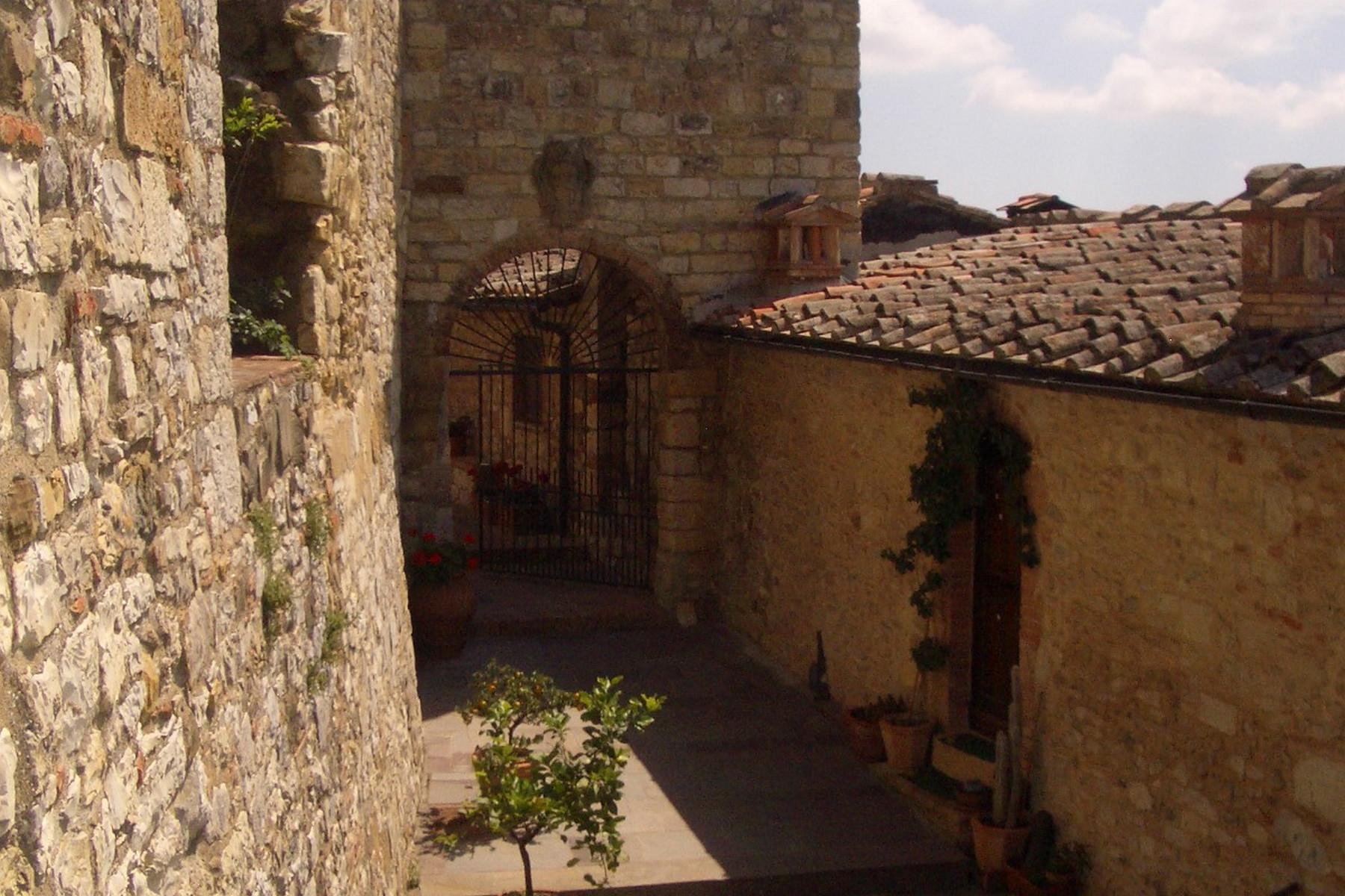 种有葡萄园的独特宫殿位于Chianti大区 - 8