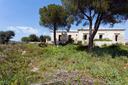 Meravigliosa proprietà nella campagna di Noto, in vendita, Noto | Sotheby’s Realty Italy - 3