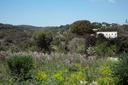 Meravigliosa proprietà nella campagna di Noto, in vendita, Noto | Sotheby’s Realty Italy - 14