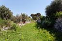 Meravigliosa proprietà nella campagna di Noto, in vendita, Noto | Sotheby’s Realty Italy - 16