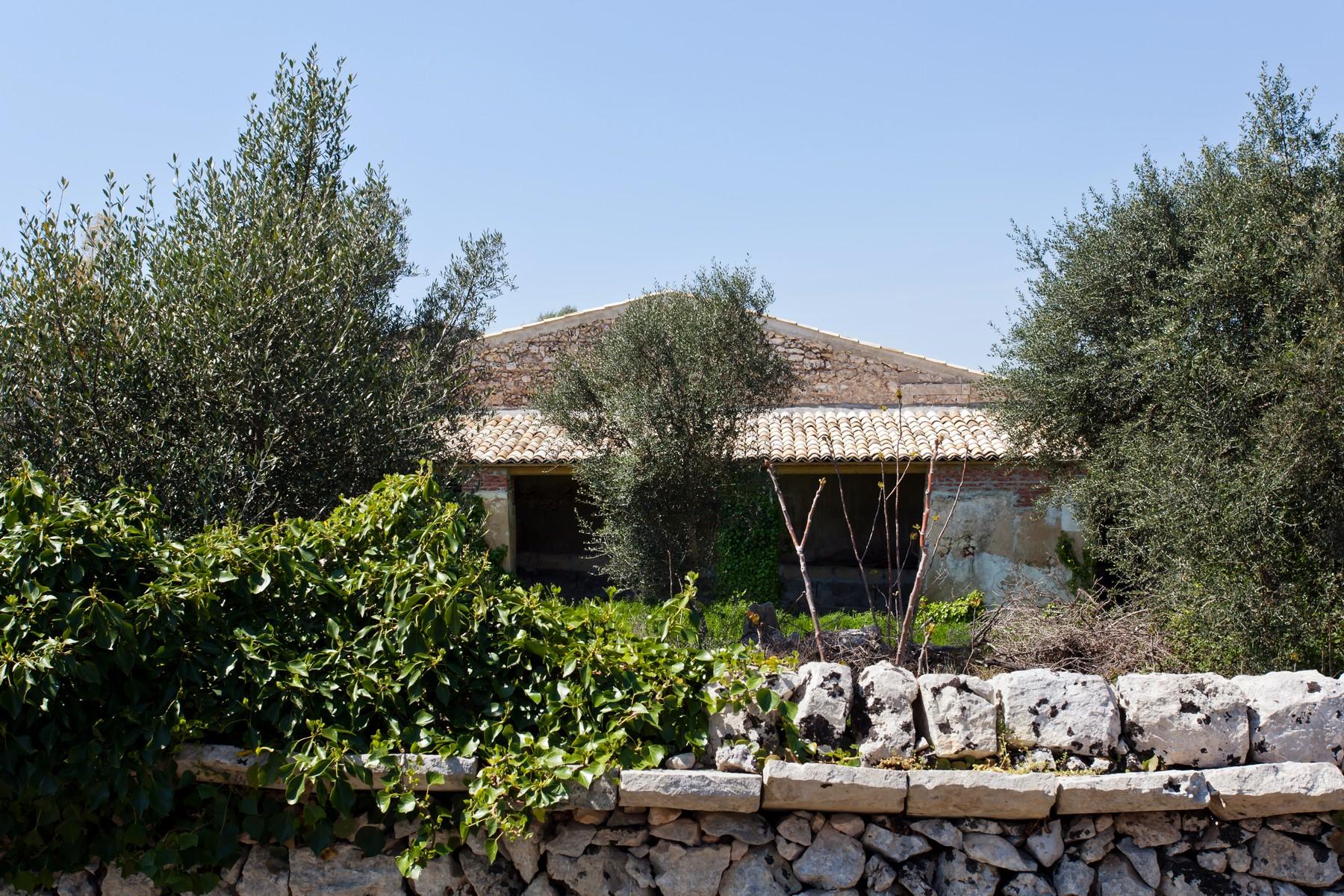 Beautiful Sicilian countryside estate - 19