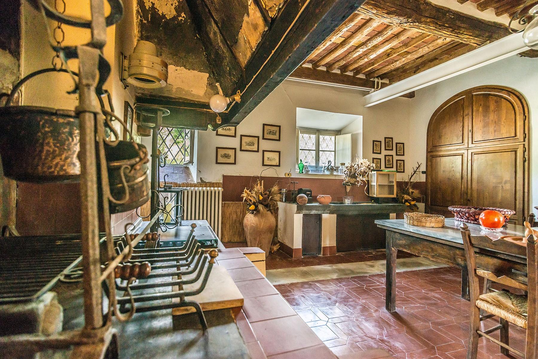 Incomparable historic mansion in Lucchesia - 23