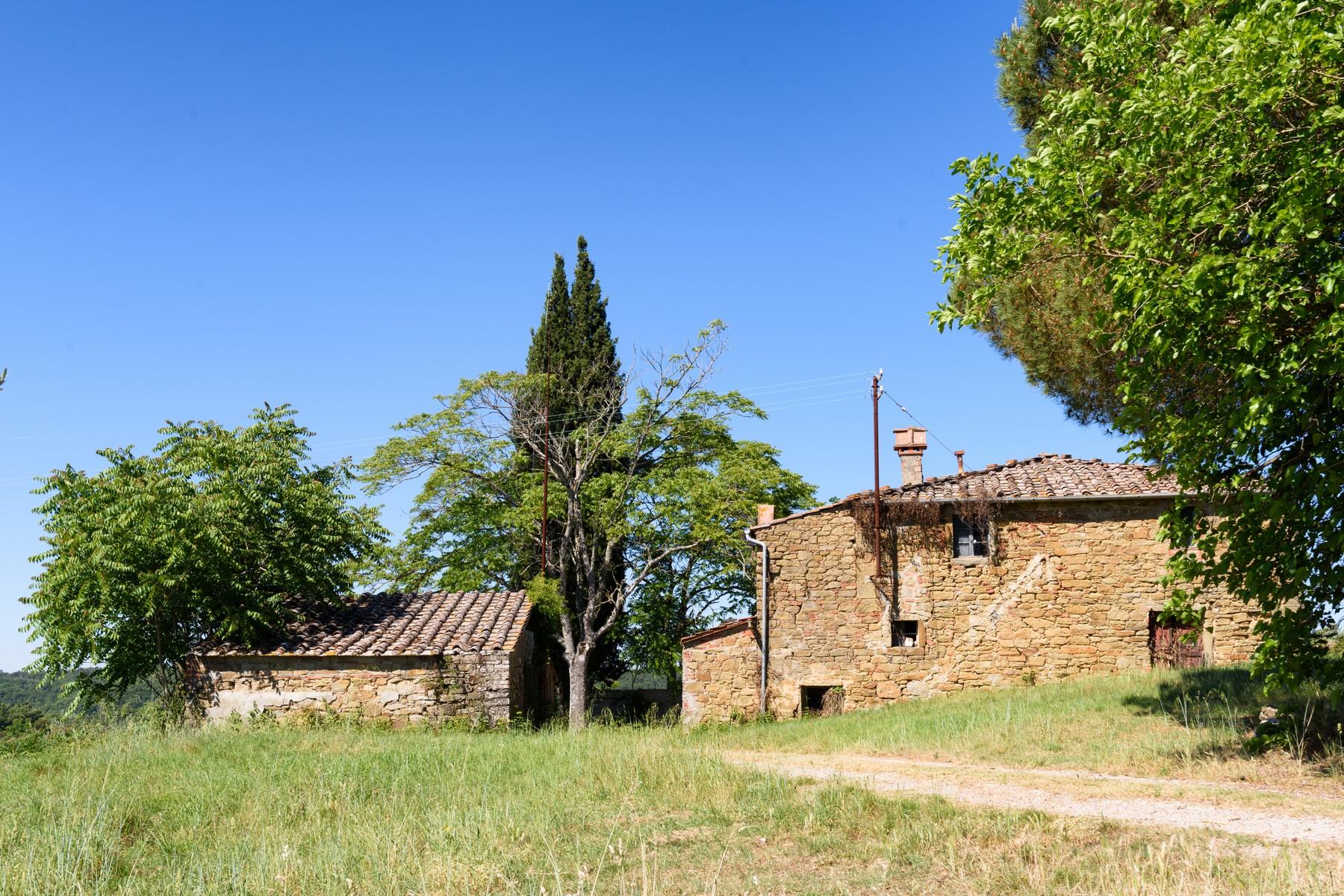 Tuscan farmhouse with vineyards and olive groves - 8