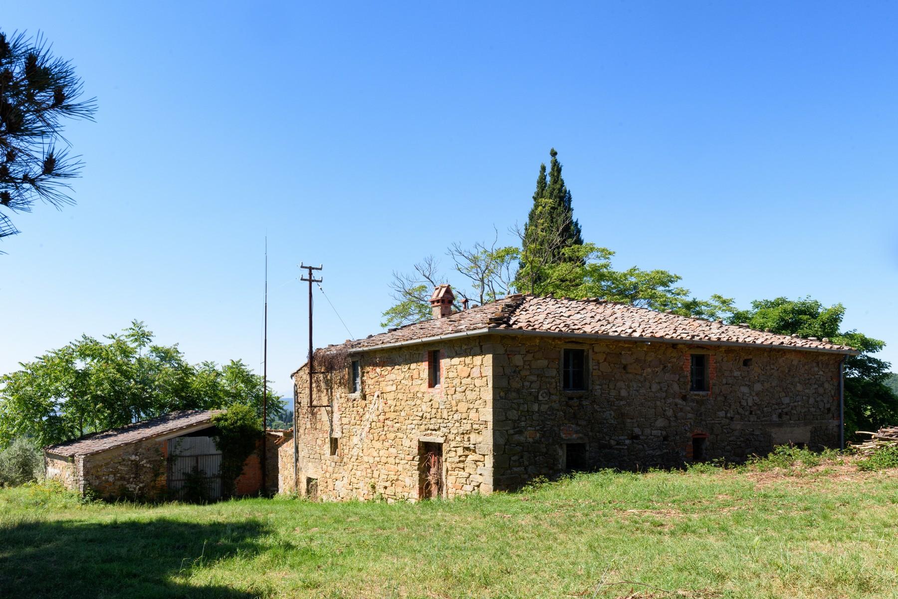 Tuscan farmhouse with vineyards and olive groves - 4
