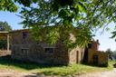 Tipico casale Toscano con vigneti e uliveti, in vendita, Monte San Savino | Sotheby’s Realty Italy - 5