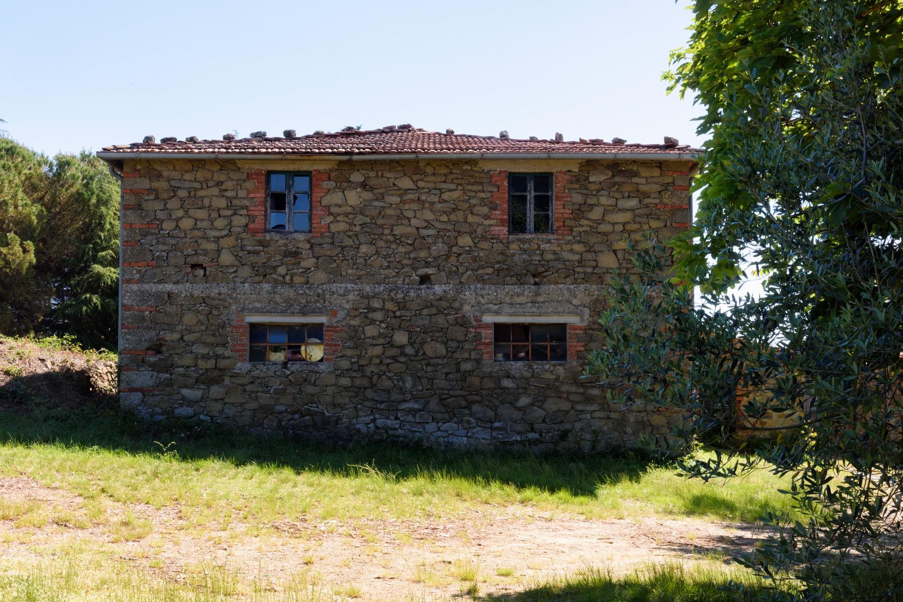 Tuscan farmhouse with vineyards and olive groves - 7