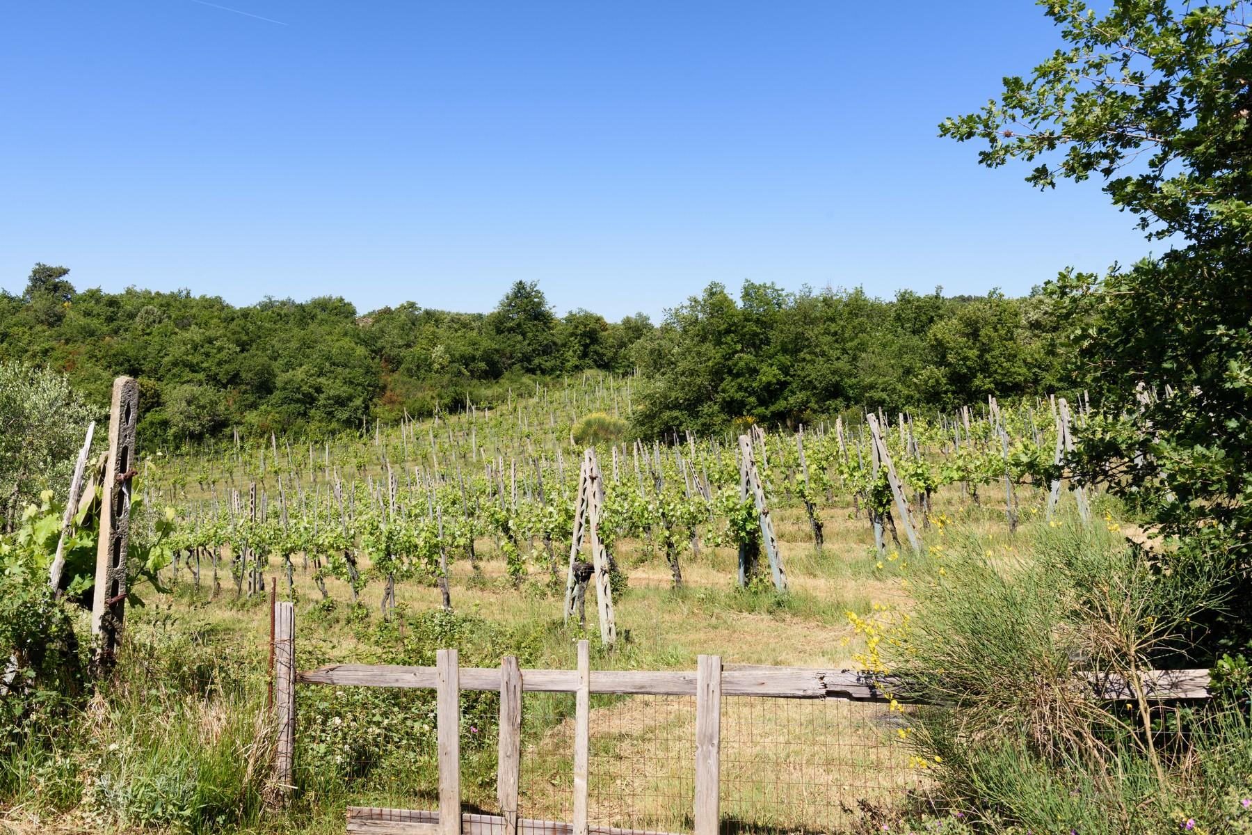 Имение с виноградниками и оливковыми рощами. 7 Га земли на холмах Кьянти, Италия - 9
