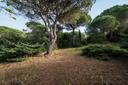 Villa indipendente all'interno di un giardino recintato, in vendita, Marciana | Sotheby’s Realty Italy - 12