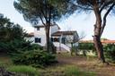 Villa indipendente all'interno di un giardino recintato, in vendita, Marciana | Sotheby’s Realty Italy - 14