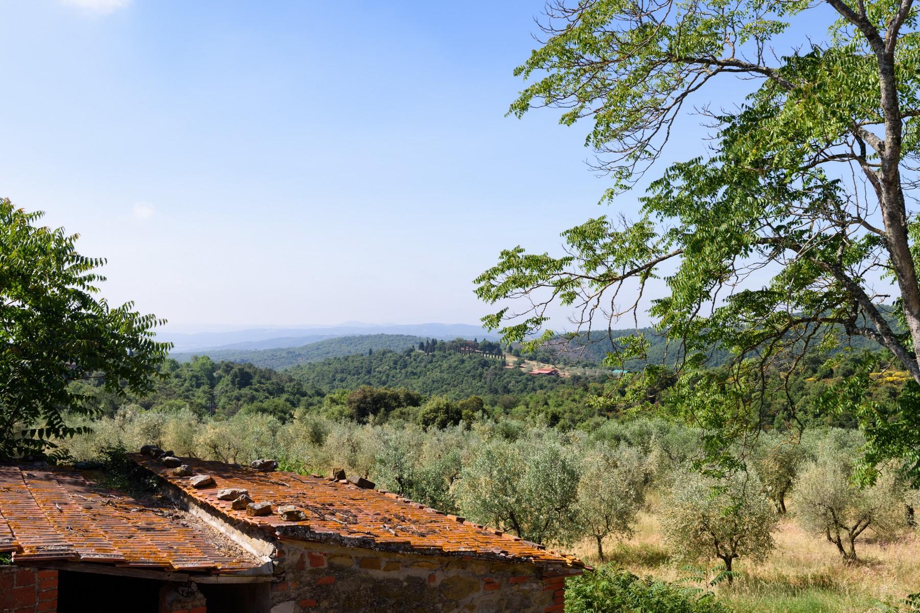 Имение с виноградниками и оливковыми рощами. 7 Га земли на холмах Кьянти, Италия - 10