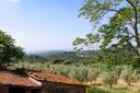 Tipico casale Toscano con vigneti e uliveti, in vendita, Monte San Savino | Sotheby’s Realty Italy - 10