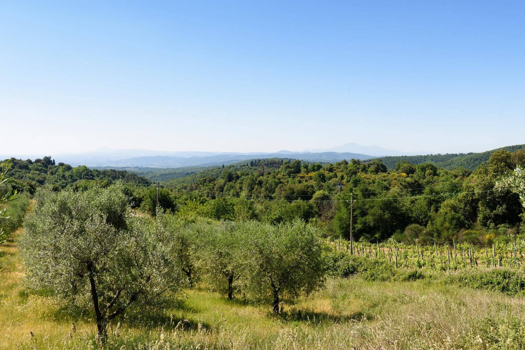 Имение с виноградниками и оливковыми рощами. 7 Га земли на холмах Кьянти, Италия - 11
