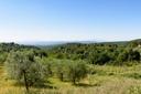 Tipico casale Toscano con vigneti e uliveti, in vendita, Monte San Savino | Sotheby’s Realty Italy - 11