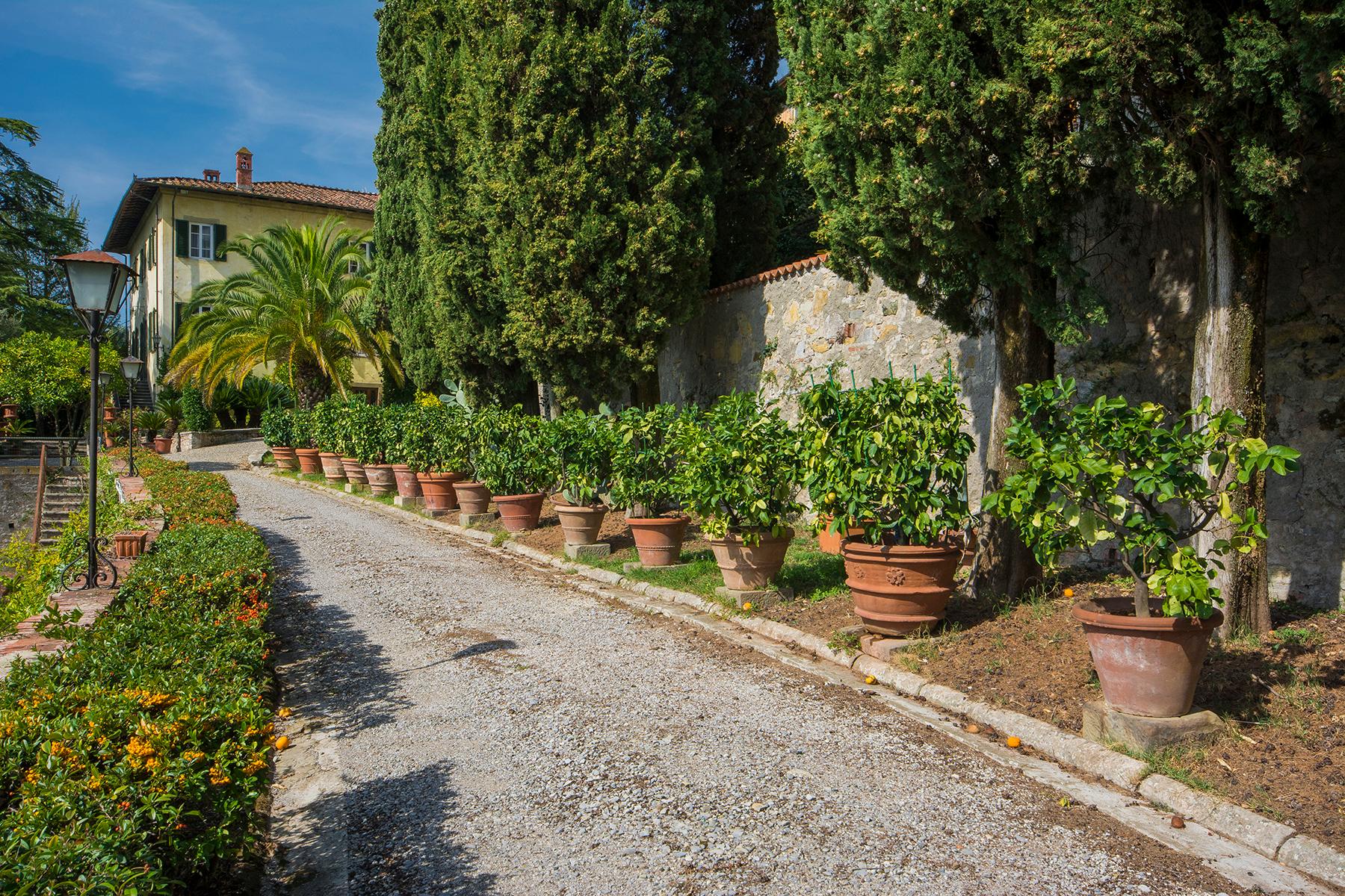 Вилла 17 века с оливковыми рощами и виноградниками - 2