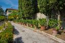 Villa del '600 con oliveti e vigneti, in vendita, Lucca | Sotheby’s Realty Italy - 2