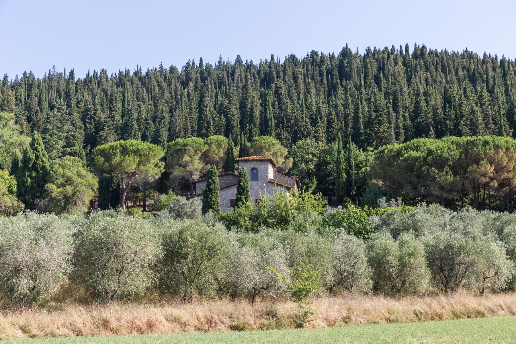 Замечательный загородный дом в сельской местности недалеко от Флоренции - 10