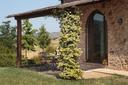Affascinante casolare tra Casole d’Elsa e Volterra, in vendita, Casole d'Elsa | Sotheby’s Realty Italy - 20