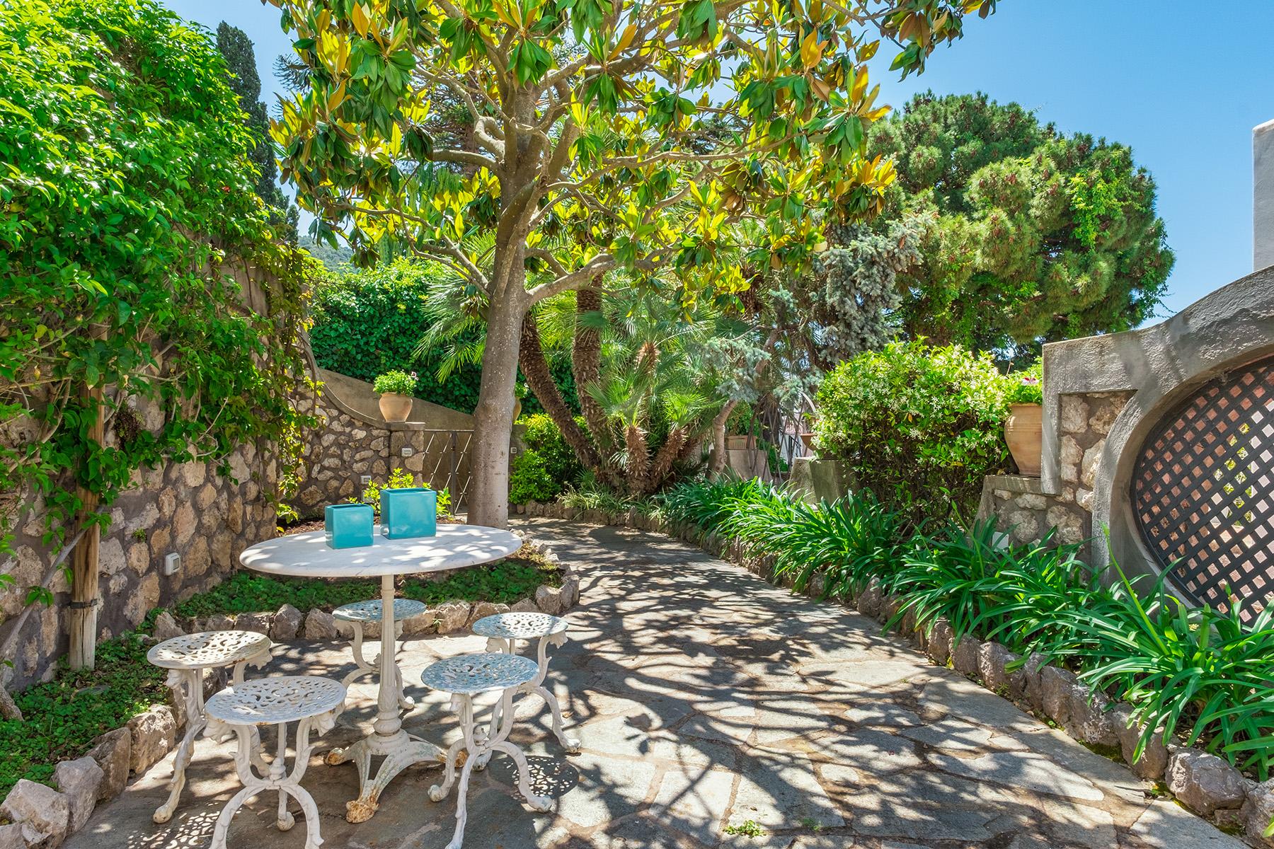 Beautiful apartamanent with garden in the centre of Capri - 1