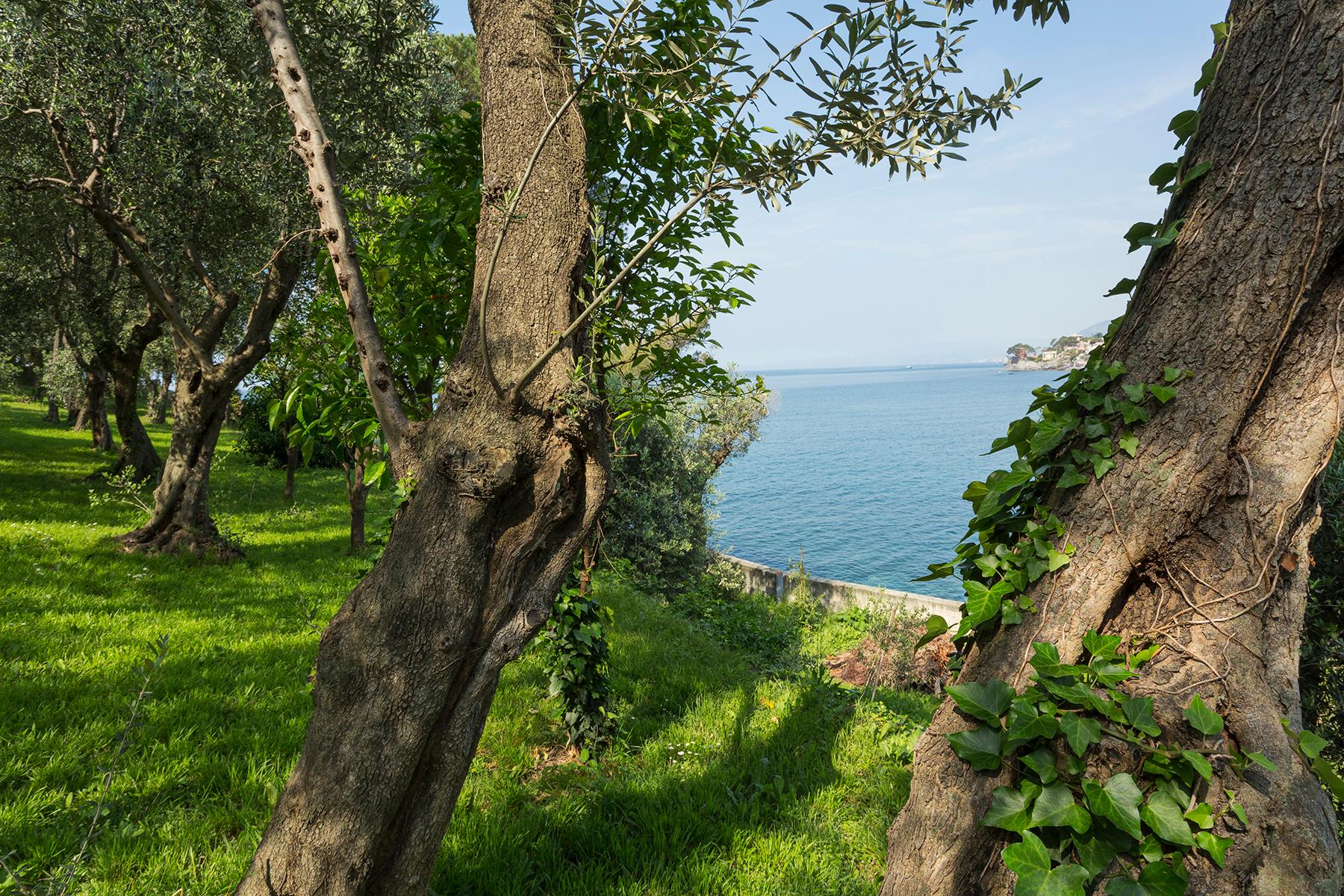 Villa pied dans l'eau entre Recco et Monte di Portofino - 12