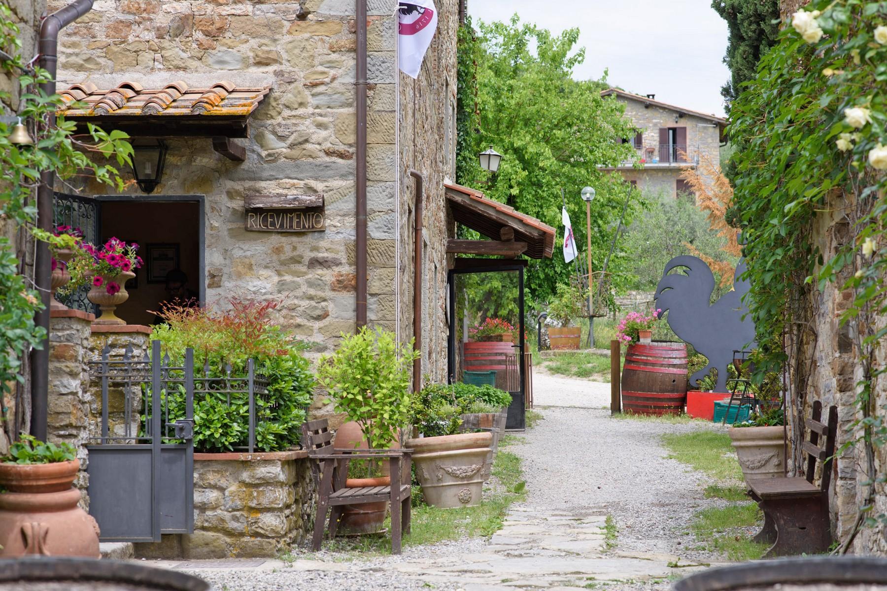 Ancient village in the heart of Chianti - 7