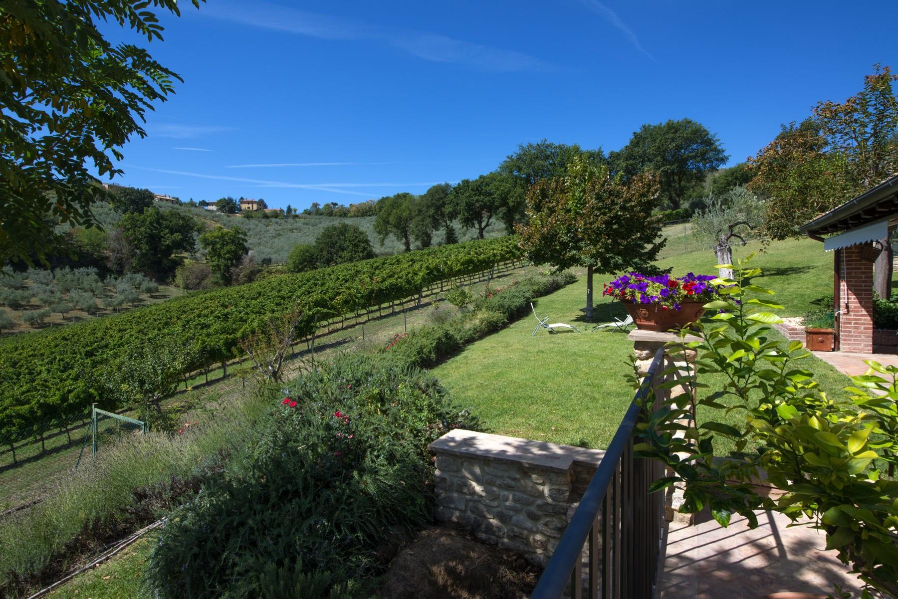 Enchanting property in the Umbrian hills - 3