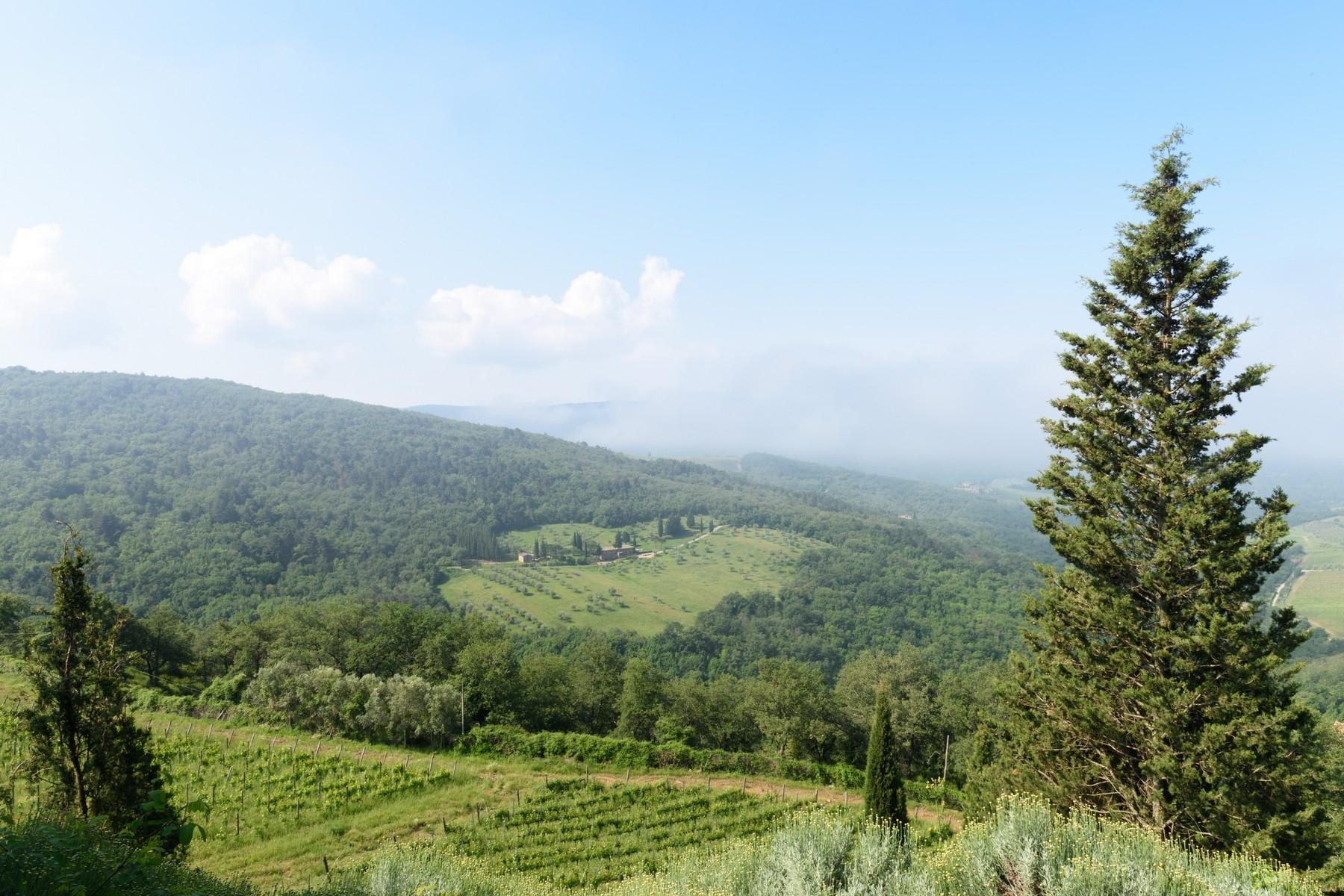 Wichtige Weinanbaubetriebe im Chianti-Gebiet - 32