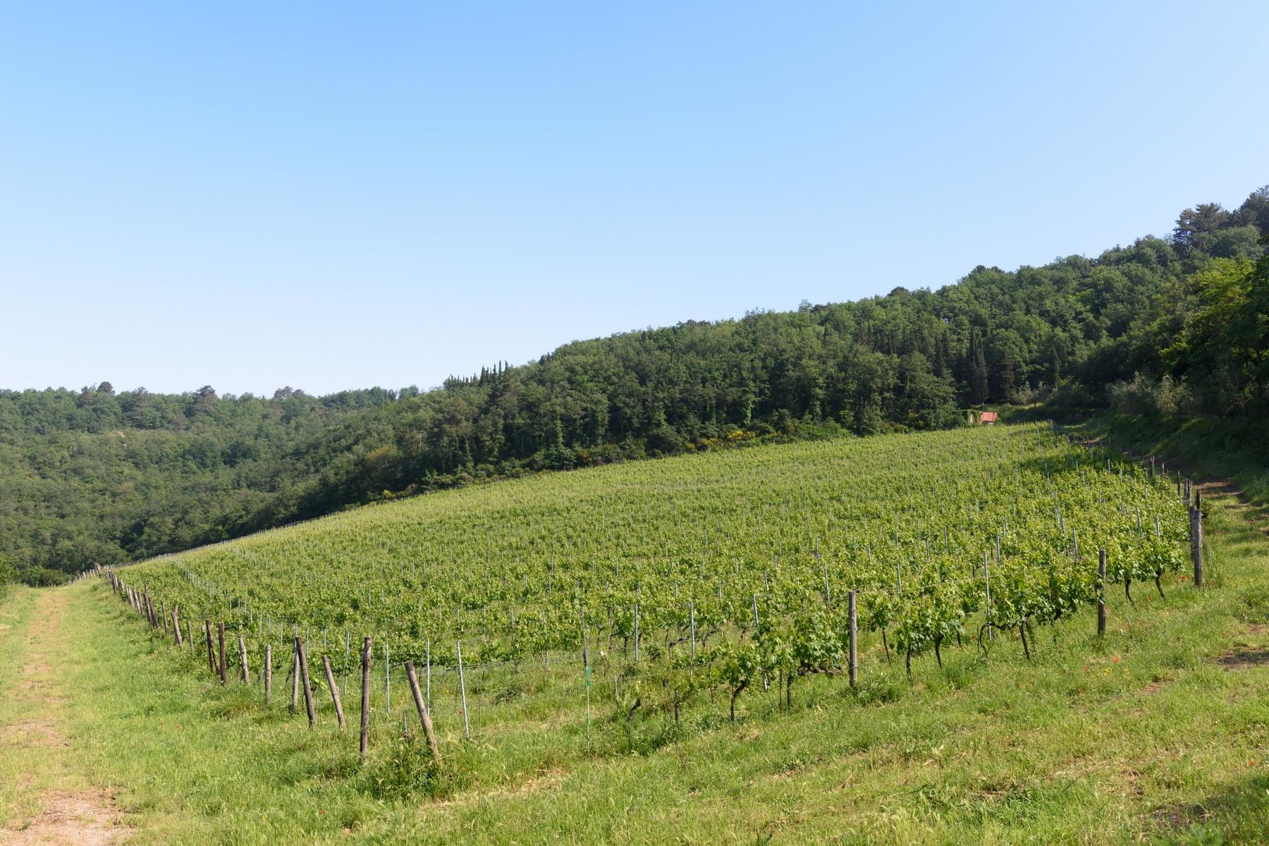 Wichtige Weinanbaubetriebe im Chianti-Gebiet - 35