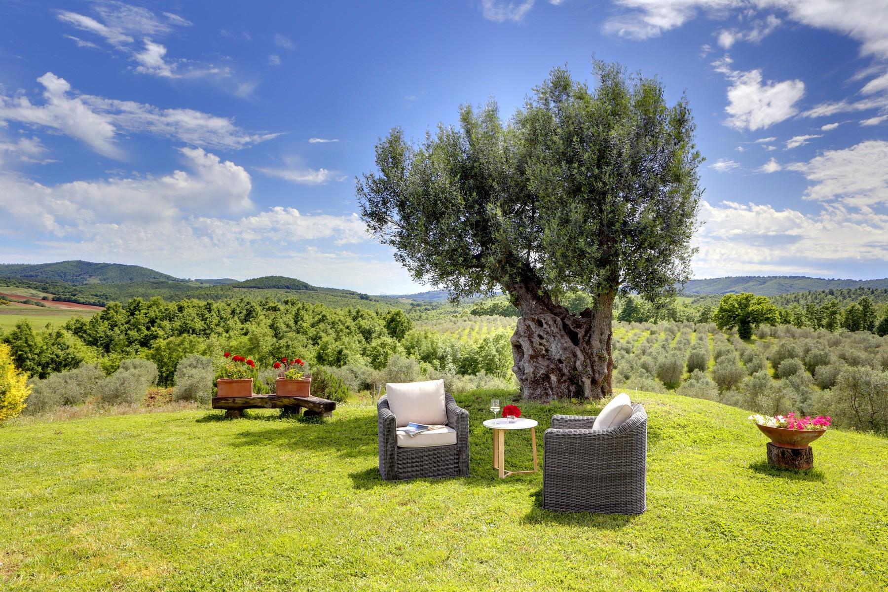Typical Tuscan farmhouse with olive grove - 9
