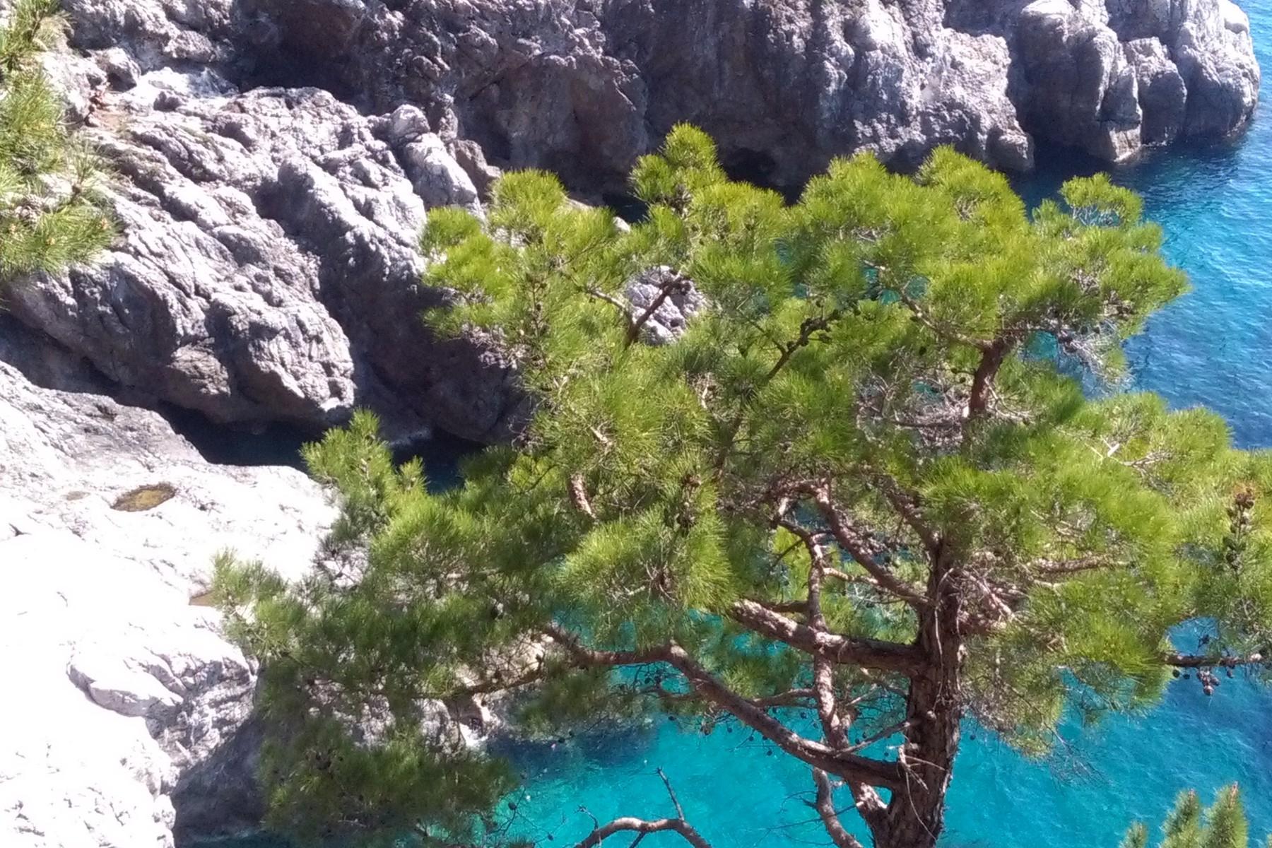 Villa pied dans l'eau on the Amalfi Coast - 30