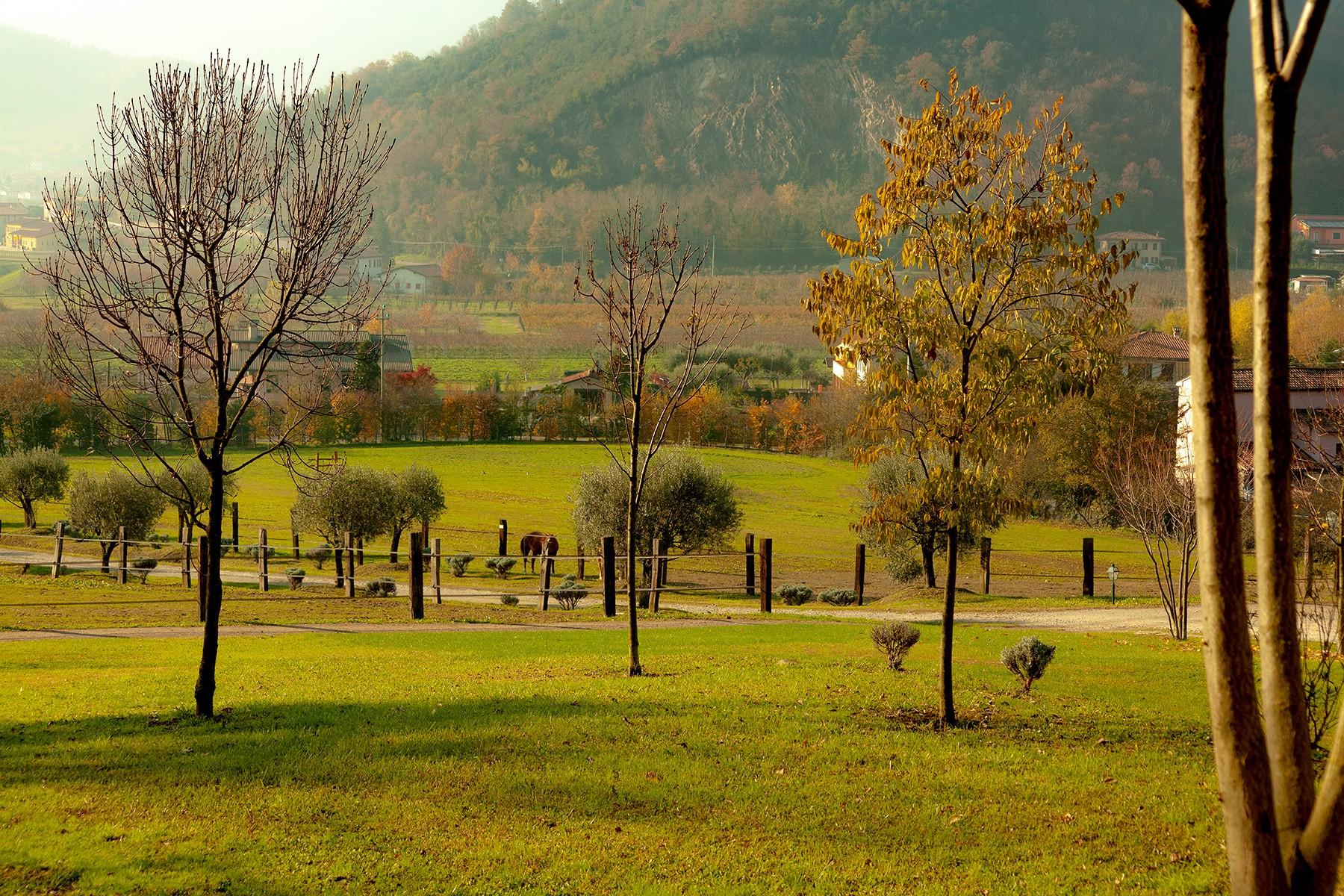 Wunderschönes Bauernhaus im Regionalpark der Colli Euganei - 10