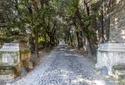 Meraviglioso appartamento immerso nel verde del parco di Villa Brasini, in vendita, Roma | Sotheby’s Realty Italy - 5