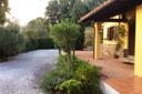 Casolare toscano con piscina sulle prime coline di Pescia, in vendita, Pescia | Sotheby’s Realty Italy - 15