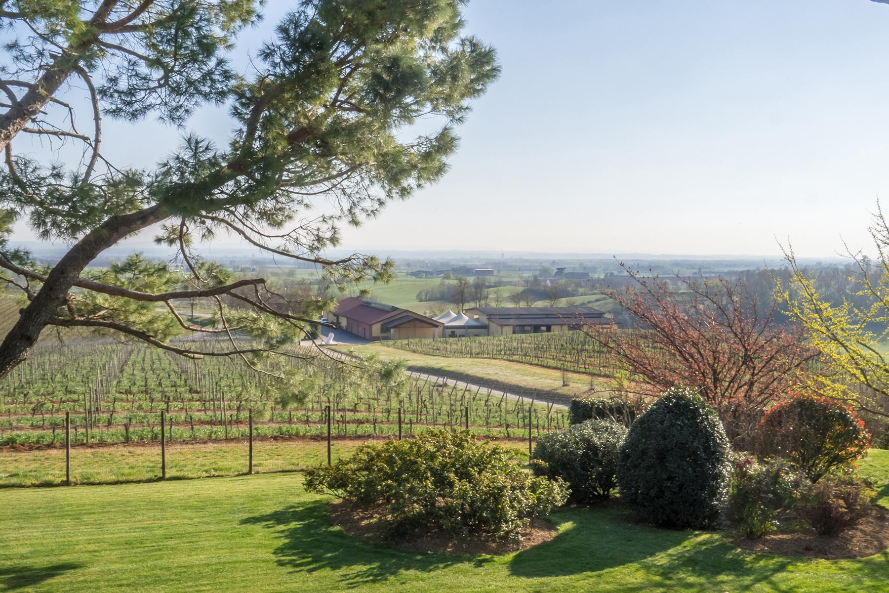 Magnificent wine producing estate in the heart of Monferrato region - 1