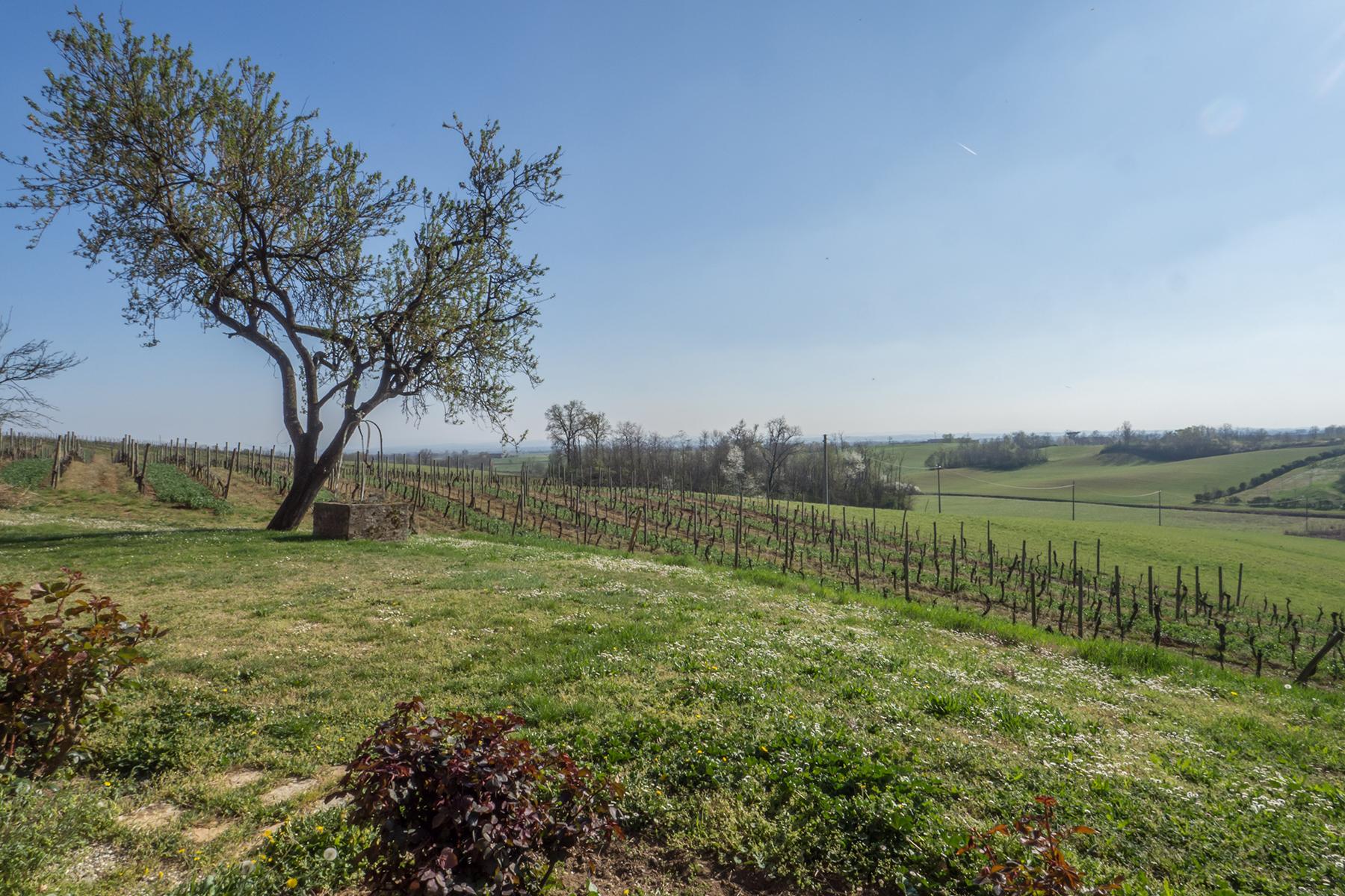 Magnifique domaine viticole au coeur du Monferrato - 30