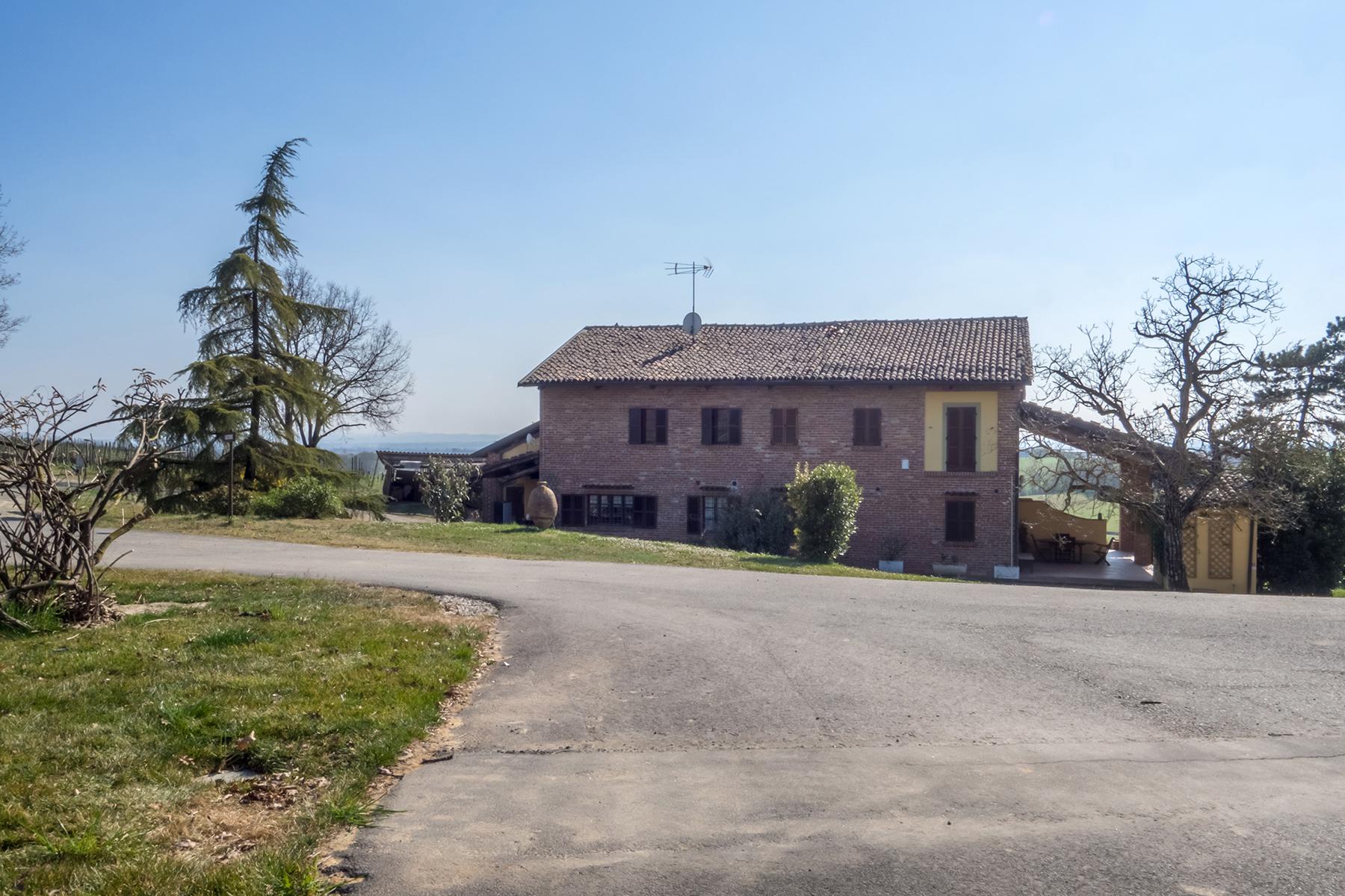 Magnificent wine producing estate in the heart of Monferrato region - 5
