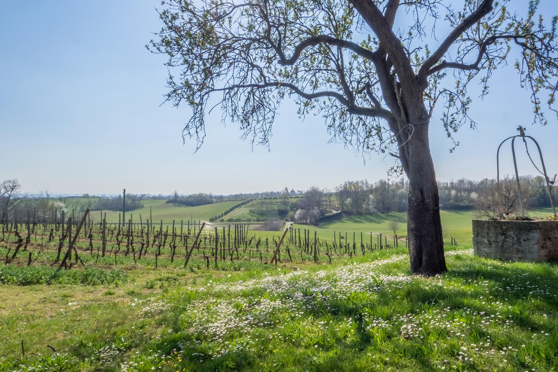 Magnifique domaine viticole au coeur du Monferrato - 25