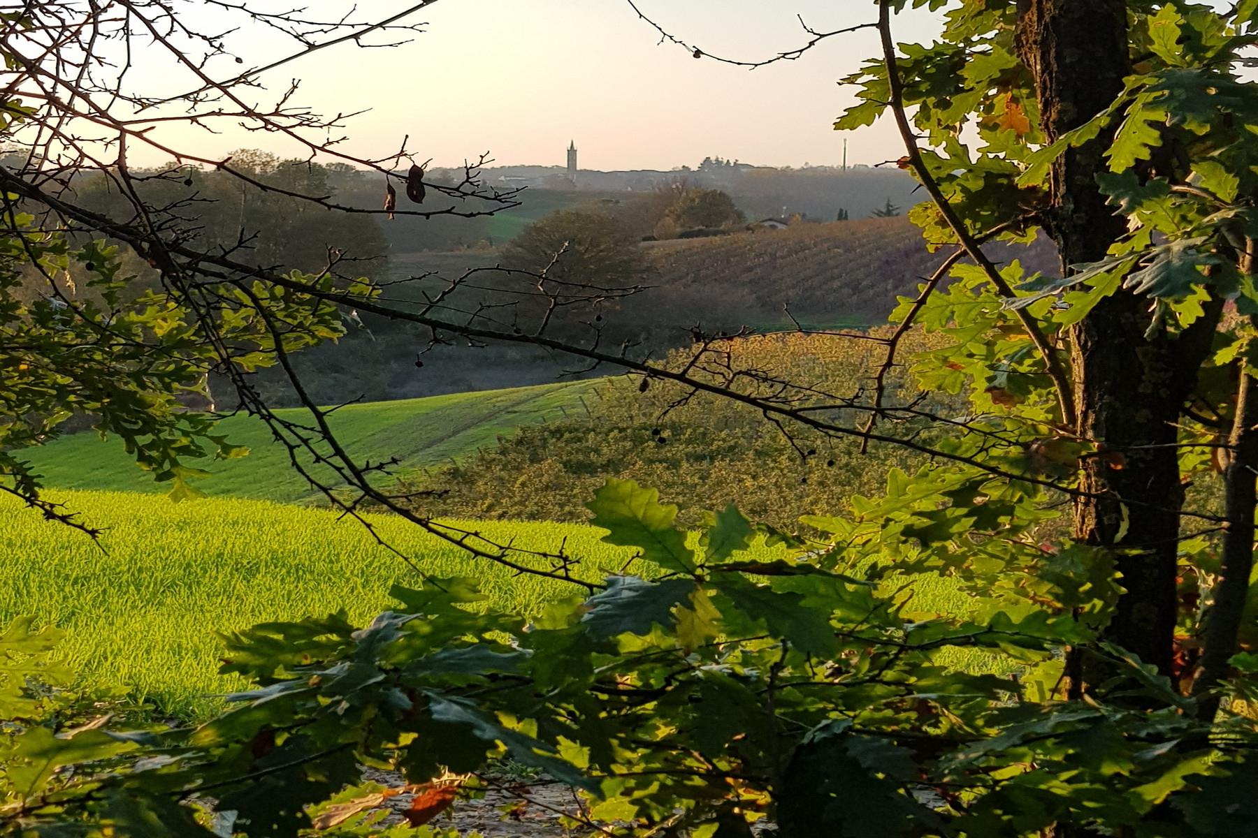 Magnificent wine producing estate in the heart of Monferrato region - 29