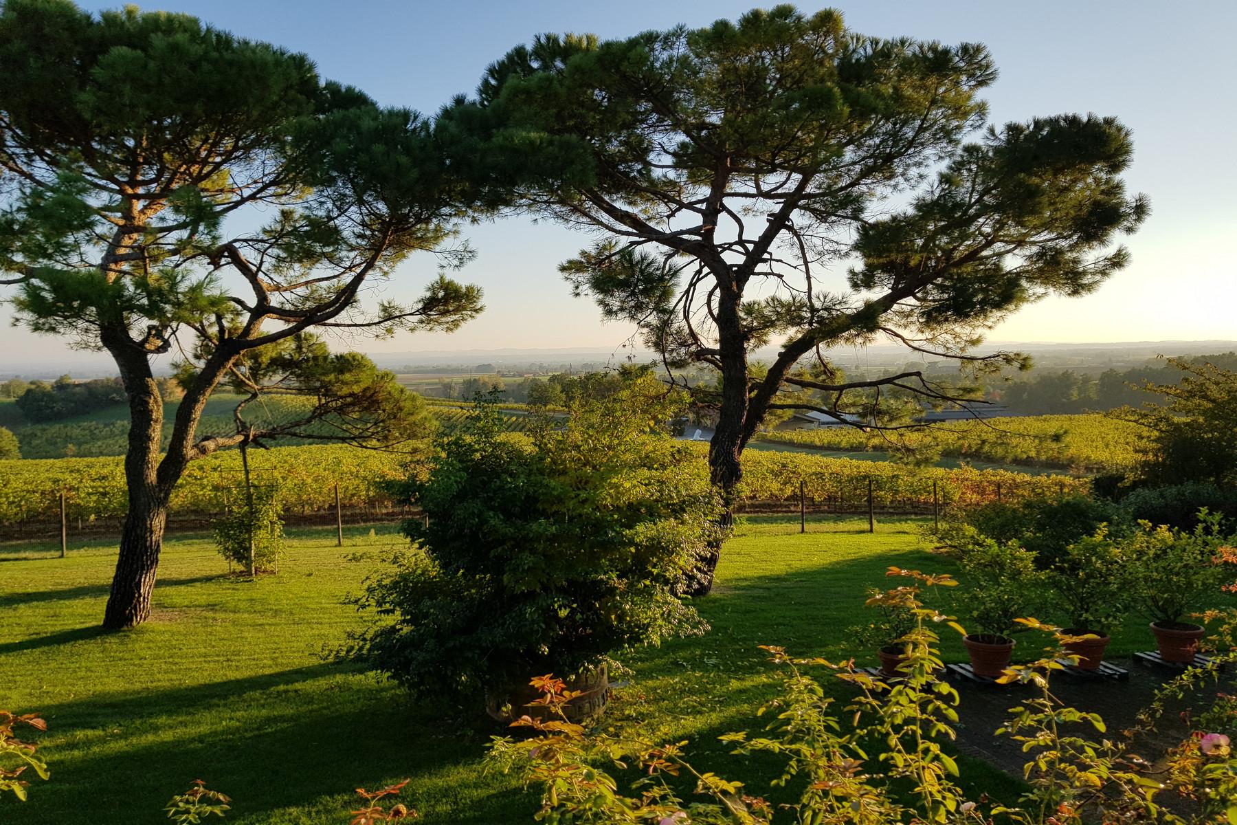 Magnifique domaine viticole au coeur du Monferrato - 2