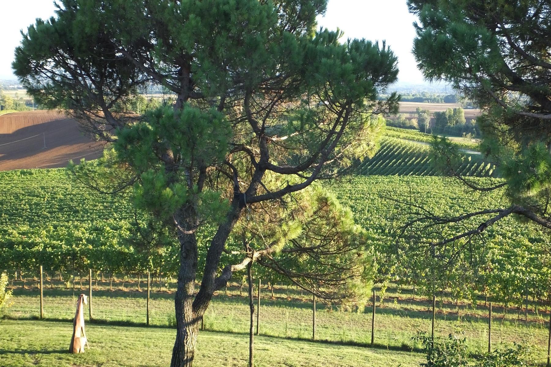 Magnificent wine producing estate in the heart of Monferrato region - 24