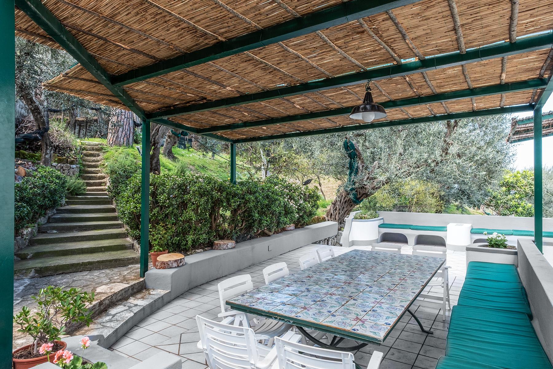 Panoramic property in the greenery in the heart of Sorrento - 12