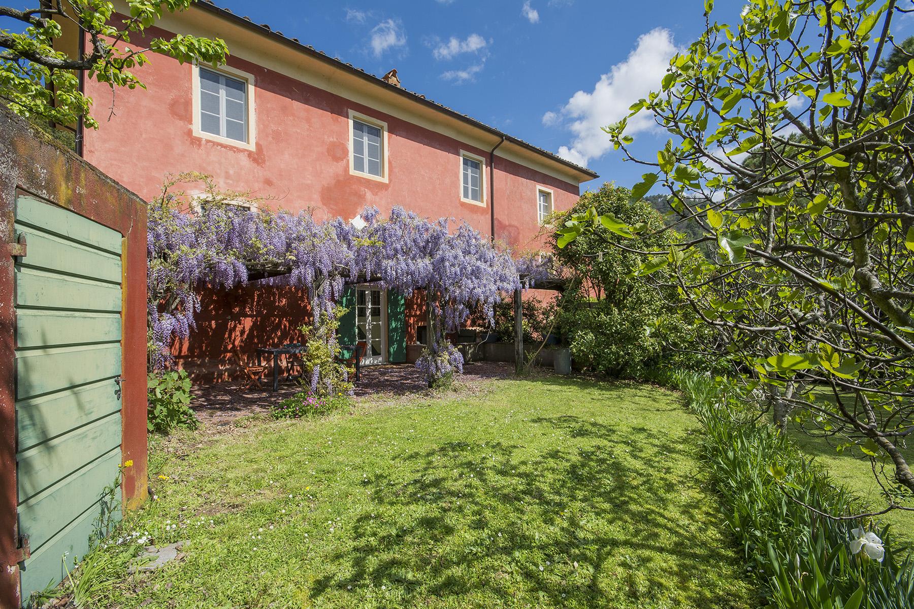Country house on the hills of Lucca - 2
