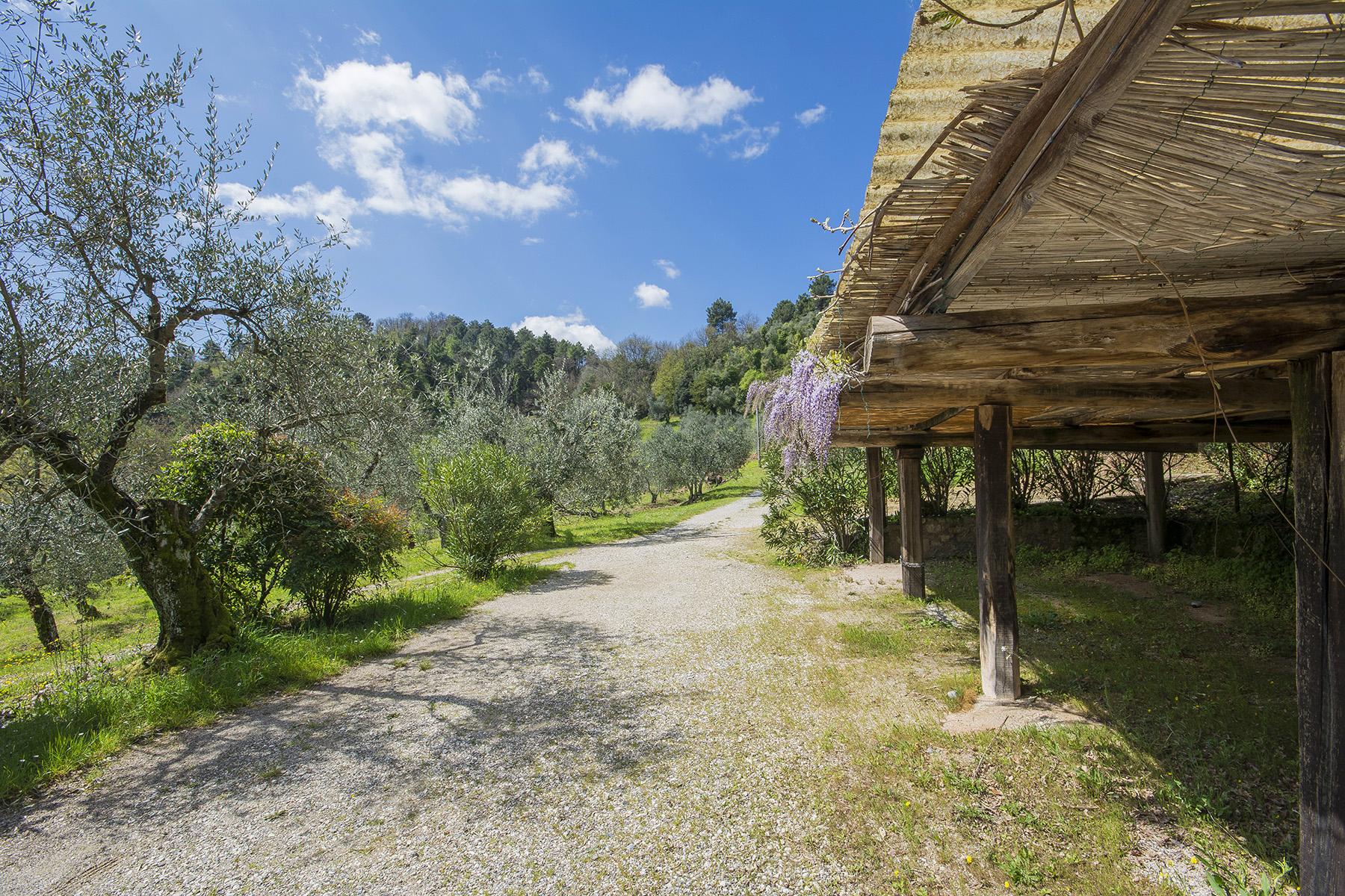 Bauernhaus auf den Hügeln von Lucca - 15