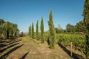 Splendido casale immerso nelle dolci colline Toscane, in vendita, Monte San Savino | Sotheby’s Realty Italy - 25