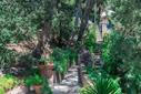 Favolosa villa panoramica a picco sui Faraglioni, in vendita, Capri | Sotheby’s Realty Italy - 5